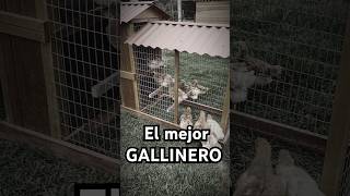 El mejor Gallinero para Gallinas [upl. by Nyloc]