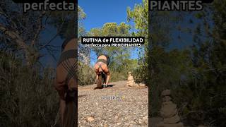 Rutina de FLEXIBILIDAD para principiantes ♥️ clases COMPLETAS en mi canal ☺️ yoga flexibilidad [upl. by Wallis851]