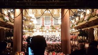 Vienna Philharmonic New Years Concert 2015 [upl. by Daley]