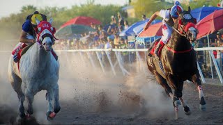 Carreras de Caballos en Cumpas 29 de Abril 2023 [upl. by Ruyam]