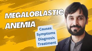 Megaloblastic Anemia  Causes  Symptoms  Diagnosis and Treatment  MLT Hub with kamran [upl. by Ameg]