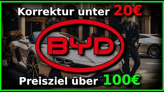 BYD der CRASH kommt  aber die Erholung bringt enorme GEWINNE  Aktien Analysen [upl. by Eeclehc]