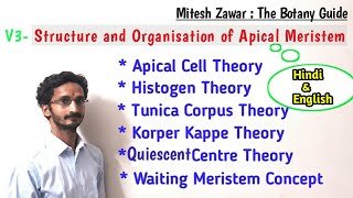 Structure and Organisation of Apical Meristem  Theories to explain Organisation of SAM amp RAM [upl. by Keelin]