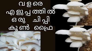 Mushroom recipe malayalamKerala style mushroom masala recipeKoon recipeMalayalimom Lifestyle [upl. by Jarrell]