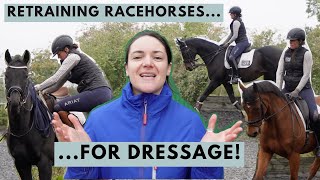 How to Retrain a Racehorse for dressage  Riding With Rhi Equestrian YouTuber [upl. by Ahtar619]