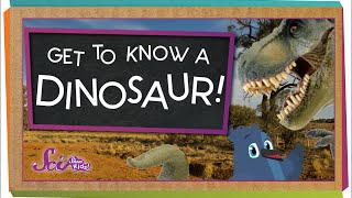 Get to Know a Dinosaur [upl. by Llerral]