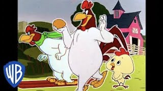 Looney Tunes en Latino  El Gallo Claudio en la granja  WB Kids [upl. by Ardiedak]