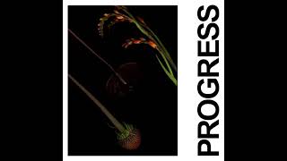 IDLES  PROGRESS Official Audio [upl. by Benioff999]