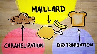 I FINALLY understand the Maillard reaction [upl. by Beora]