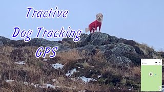 Is This GPS Dog Tracker Worth the Hype My Review [upl. by Barrow447]