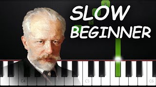 Tchaikovsky  Swan Lake  SLOW BEGINNER Piano Tutorial [upl. by Radec285]