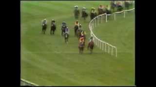 Slaney Idol 1980 waterford crystal supreme novices hurdle [upl. by Anees]