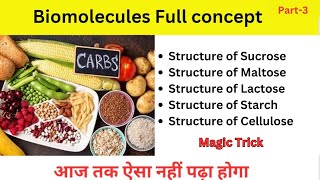 Biomolecules Disaccharides  Polysaccharides Class 12  JEE  NEET [upl. by Yelich]