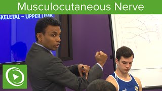 Musculocutaneous Nerve Definition amp Overview – MRCS  Lecturio [upl. by Naleek]