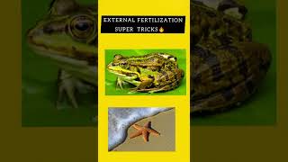 External Fertilization Tricks🔥 [upl. by Doowle718]