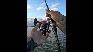 Shimano 24 Vanford C3000HG Field test bassfishing catfish perch shimanovanford shimano fishing [upl. by Fawn]