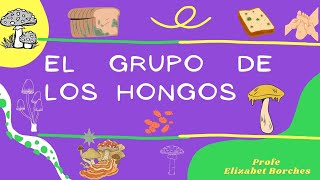 El grupo de los hongos [upl. by Williams]