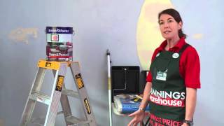 How To Paint  DIY At Bunnings [upl. by Yate544]