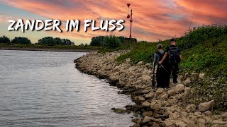 ZANDERANGELN im FLUSS  Faulenzen oder Jiggen  Die Fische haben richtig Bock 💪 [upl. by Notnilc]