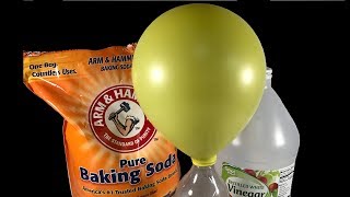 How to Inflate a Balloon with Baking Soda amp Vinegar [upl. by Ribaj452]