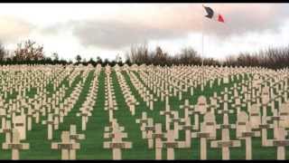 Green fields of France  Willie McBride tin whistle Remebrance day [upl. by Ardine]