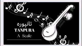 A Scale Tanpura  For Riyaaz  Beginners  Hazaraagibynayab  riyaaz tanpura foryou [upl. by Noiramaj]