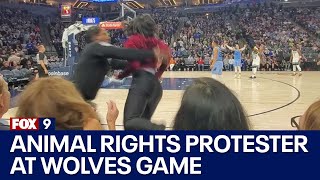 Video of animal rights protester entering Timberwolves court getting tackled by security  FOX 9 [upl. by Enomahs]