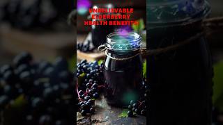 Unbelievable Elderberry Health Benefits healthydieting facts healthyfoodforlife food [upl. by Arvid]