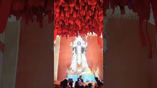 pujo durgapuja reels shortvideo song kali vlog viralvideo video pujavlog puja kolkata [upl. by Tiffy]