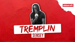 Interview Tremplin  Sensey [upl. by Mccallum825]