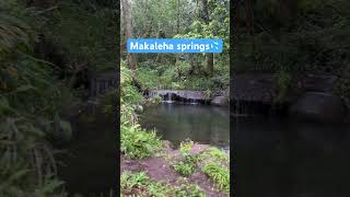 Exploring Makaleha springs with my son named Makaleha meaning to look about in awe and wonder🥰💦 [upl. by Pascale906]