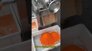 Carrot Juice Extractor [upl. by Clellan601]