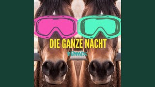 Die ganze Nacht Remix [upl. by Reneta]