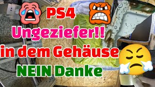 PS4 Ungeziefer Edition SORRY 😜ES gibt GRENZEN😕  Tschernobyl [upl. by Ahseetal]