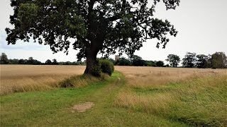 WALKING IN SUFFOLK  ROUGHAM [upl. by Benildis]