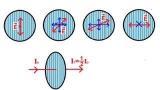 Physics 53 Polarization 1 of 5 Introduction [upl. by Onavlis]