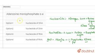 Adenosine monophosphate is a [upl. by Nnayt506]