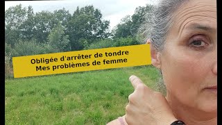 Obligée darrêter de tondre  mes problèmes de femme [upl. by Trefor606]