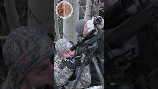 Compilation de tirs 2023 chasse tir shots hunting [upl. by Mloclam618]