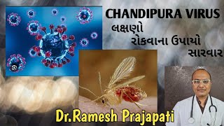 ચાંદીપુરા વાયરસસેન્ડફલાયMyDoctorMyFriendડૉરમેશ પ્રજાપતિChandipuraVirusSandflyserious disease [upl. by Melisa703]