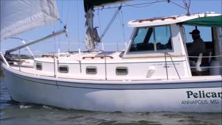 Sailing Cape Dory 30 Motorsailer SOLD Annapolis Fred Hallett light breeze nice cruising sailboat [upl. by Pohsib]