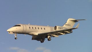 XOJET Bombardier Challenger 300 N536XJ landing at Santa Barbara Airport [upl. by Oakes]