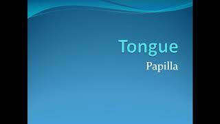 Lecture on Tongue Anatomy  Papillae Hindi [upl. by Casimire396]