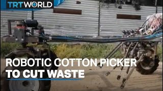 Turkishmade robotic cotton picker helps cut harvest waste [upl. by Ahsatsan]