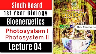 photosystem I and photosystem II  bioenergetics  class 11 biology Sindh board [upl. by Batty]