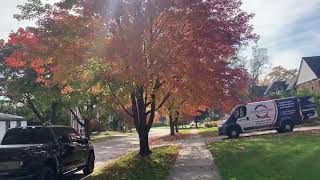 ASMR Fall leaf peeping walk through the neighborhood [upl. by Lubow]