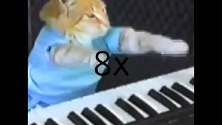 Keyboard cat sped up slowed down [upl. by Hsur]