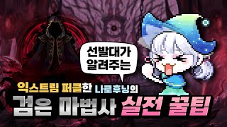 메이플스토리 검은 마법사 공략  나로후닝의 꿀팁도 대방출합니다 [upl. by Proffitt]