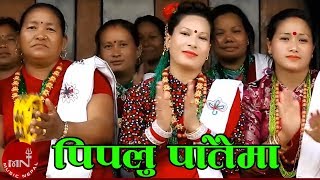 New Salaijo Song 2072  Pipalu Pataima  Dipu Magar amp Renu Rana Magar [upl. by Ayhay28]