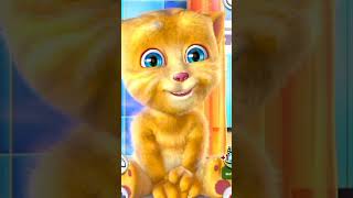 Islamic Funny cat video cat cartoon shorts dog [upl. by Nevah452]